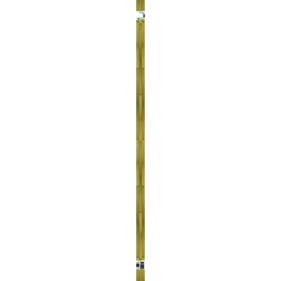 Bamboestok l120cm d 10-12mm 5st