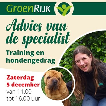 Advies van de specialist over training en hondengedrag