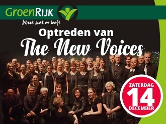 Optreden The New Voices