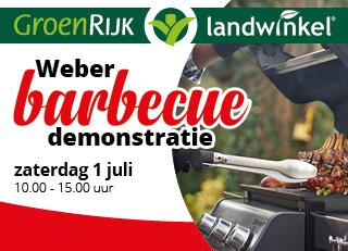 Weber Barbecue Demonstratie