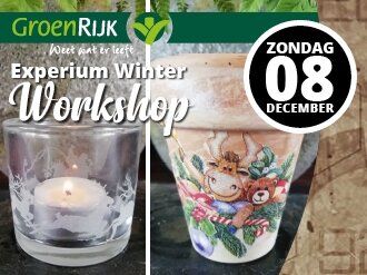 Workshops met Experium