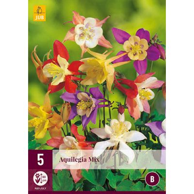 Aquilegia mix 5st