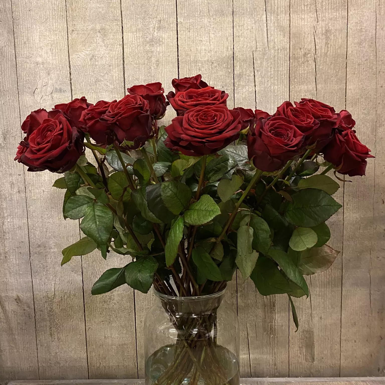 Email kassa pauze Boeket rode rozen (per steel) - GroenRijk Zevenaar | Tuincentrum, bloemist,  dierenwinkel, cadeauwinkel in één!