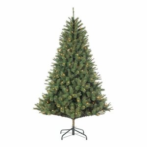 Carmanah h215d137cm grn led