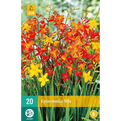 Crocosmia mix 20st