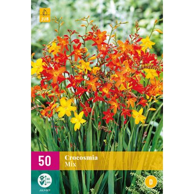 Crocosmia mix 50st