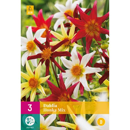 Dahlia honka mix 3st