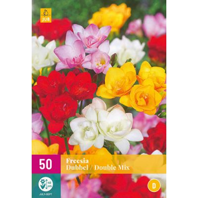 Freesia dubbel mix 50st