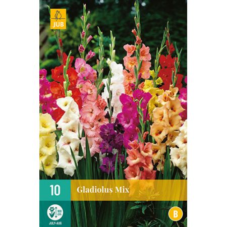 Gladiolus mix 10st