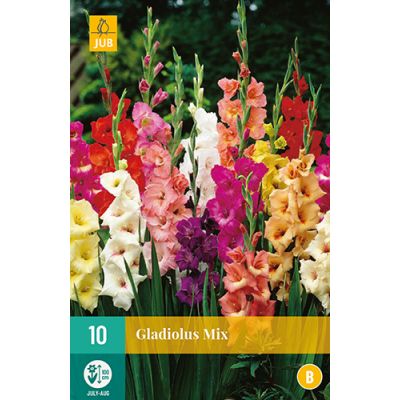Gladiolus mix 10st