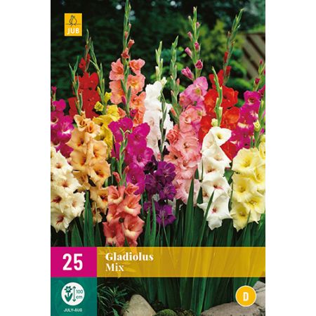 Gladiolus mix 25st