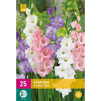 Gladiolus pastel mix 25st