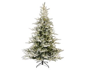 Grandis h240cm wt/wwt microled 700l