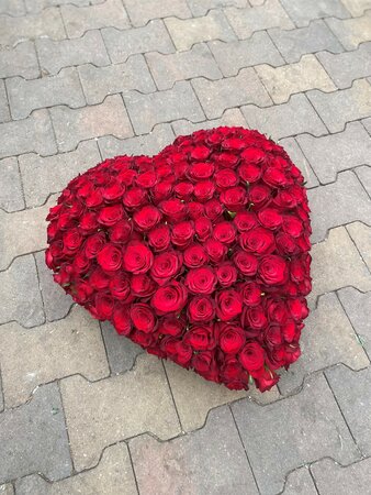Hart rood