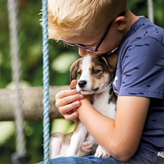 Honden