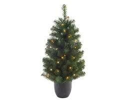 Imperial boom in pot h90cm 50led