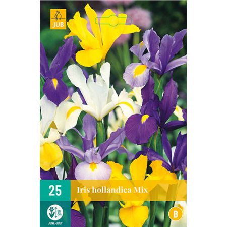 Iris hollandica mix 25st