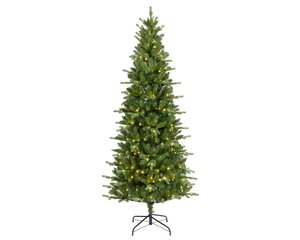 Killngton bm fr prlt d103h210 grn/wwt