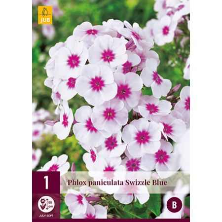 Phlox paniculata swizzle blue 1st