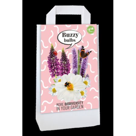 Tas buzzy bulbs pink 1st