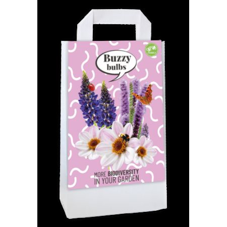 Tas buzzy bulbs purple 1st