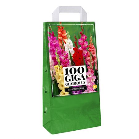 Ts 100 gladiolus mix 1st