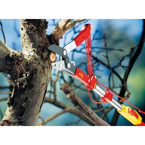 wijsvinger Biscuit bank Wolf-Garten Multi-Star boomschaar RC-M - GroenRijk Zevenaar | Tuincentrum, bloemist, dierenwinkel, cadeauwinkel in één! wijsvinger Biscuit bank Wolf-Garten Multi-Star boomschaar RC-M - GroenRijk Zevenaar | Tuincentrum, bloemist, dierenwinkel, cadeauwinkel in één!